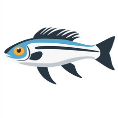 sprat fish  ilustration vector