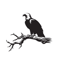 Fototapeta premium Eagle silhouette vector. Eagle logo, icon vector design. Bird silhouette. 