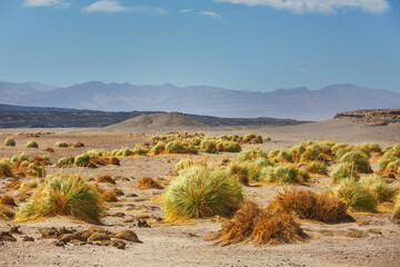 Northern Argentina