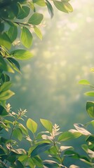 Obraz premium Gentle Sunlight on Delicate Leaves