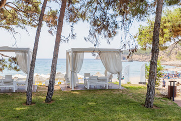 Luxury Beach Cabanas Under Pine Trees Overlooking Serene Coastal View