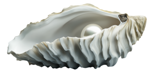 Seashell holding a large pearl inside