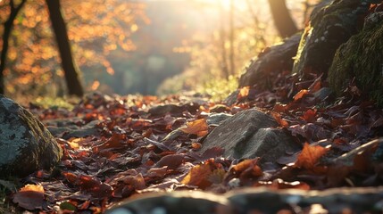 Obraz premium Sunlight Shines on a Path Covered with Leaves and Rocks in Autumn Nature