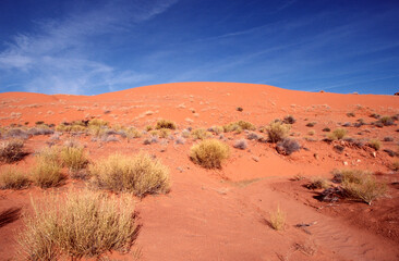 Arizona Plains Landscape with Monument Valley