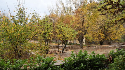 Autumn in Morocco&rsquo;s Ifrane with Yellowed Maple Leaves, Red-Roofed Houses, Scenic Landscapes, Pedestrian Pathways, and Vibrant Seasonal Foliage in a Serene Countryside Setting  
