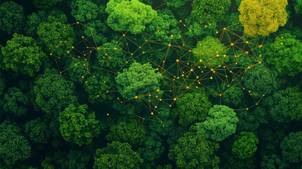 Naklejka premium Aerial view of a lush forest with interconnected glowing points and lines, symbolizing a network or communication system amidst natural greenery.