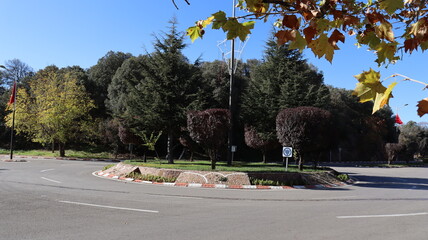 Autumn in Morocco’s Ifrane with Yellowed Maple Leaves, Red-Roofed Houses, Scenic Landscapes, Pedestrian Pathways, and Vibrant Seasonal Foliage in a Serene Countryside Setting  
