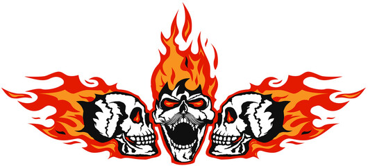 Motorcycle tete de mort skull crane flamme feu