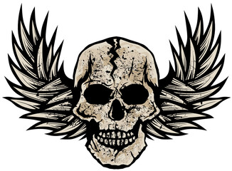 Tete de mort aile crane skull fantaisie