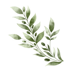 Watercolor illustration of a green decorative sprig. The illustration is hand drawn in watercolor. Design for textile, paper and packaging.