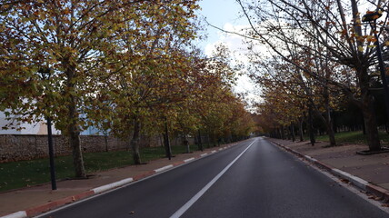 Fototapeta premium Autumn in Morocco’s Ifrane with Yellowed Maple Leaves, Red-Roofed Houses, Scenic Landscapes, Pedestrian Pathways, and Vibrant Seasonal Foliage in a Serene Countryside Setting 