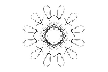 Symmetrical Mandala Illustration with Radiating Petals and Geometric Harmony
