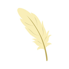 Feather Illustration