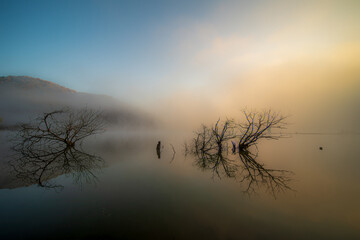 Fototapeta premium Rivers, sea of ​​fog, streams, mountains, falling leaves, changing seasons in South Korea.