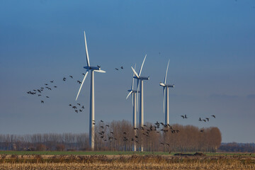 Wind turbines stand tall against a clear sky while birds soar above a peaceful landscape in a rural...