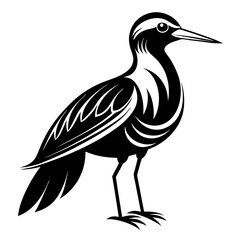 Obraz premium Lilac-Breasted Roller silhouette