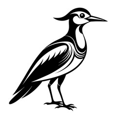 Obraz premium Lilac-Breasted Roller silhouette