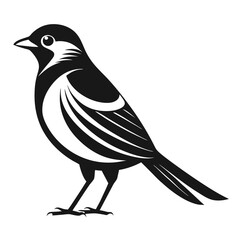 Obraz premium Lilac-Breasted Roller silhouette