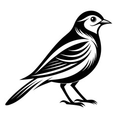 Fototapeta premium Lilac-Breasted Roller silhouette