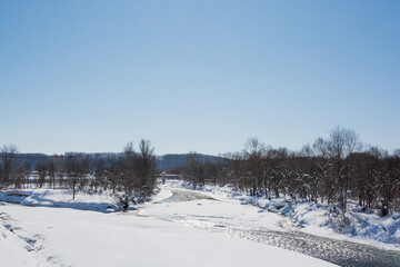 晴れた日の冬の川と雑木林