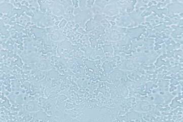 Abstract Blue Water Texture with Organic Patterns