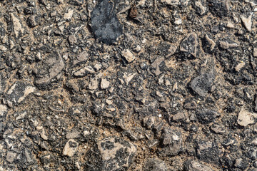 Macro photography of nature, texture asphalt in the water