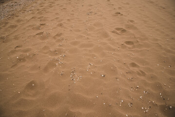 footprints on the sand