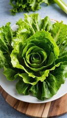 Lettuce Leafy vegetable grown for its crisp edible leaves used in salads