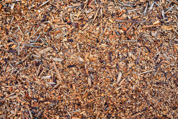 Fototapeta premium The ground of wood chips forms an intricate mosaic of varied sizes and shapes, creating an aesthetically pleasing and textured surface 2