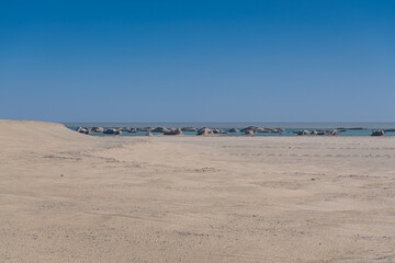 Yadan geological landform in close up made by the erosion for millions of years, Qinghai, China