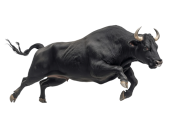 Dynamic Side View of an Angry Bull isolated on white or transparent background, png clipart, design element
