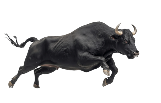 Dynamic Side View of an Angry Bull isolated on white or transparent background, png clipart, design element