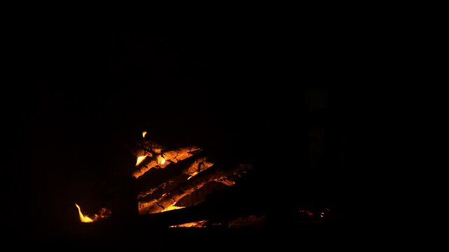 The fireplace in the house burns like a bonfire on natural wood and branches from the forest. The fire is actively burning, a tree falls and flares up