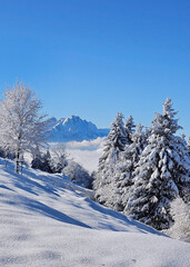 Alpine Winter Wonderland. Snowy Landscape with Mountains