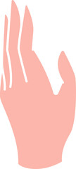 Hand Gesture Illustration