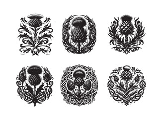 Scottish thistle vector
