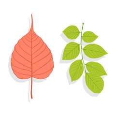 Vector illustration of red-green leaves
