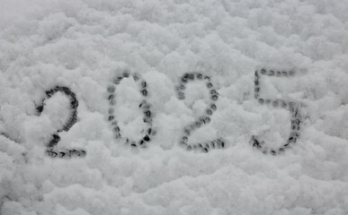 Figures in the snow 2025, the concept of Christmas and New Year.