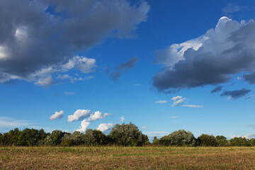 Obraz premium A peaceful countryside landscape featuring an open grassy field under a vibrant blue sky dotted with fluffy clouds