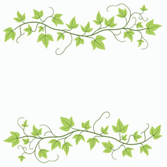 Obraz premium Floral ivy drawing decorative ornament flat design.
