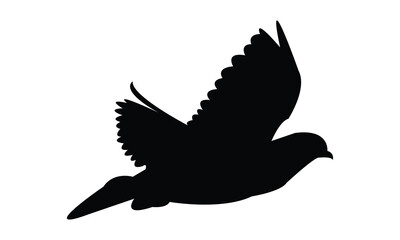 Flying Pigeon Silhouette Design  And Vector Illustration. 
