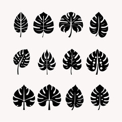 Set of black Monstera Deliciosa plant leaves Vector. Foliage and Botanical Design Template Set, Isolated. Exotic Decorative Plants