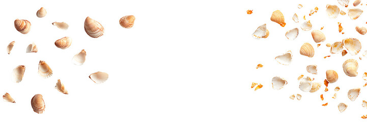 Obraz premium Set of falling seashells, isolated on a transparent background.