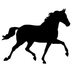silhouette of a horse vector.