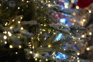 christmas tree with lights