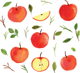 apples watercolor 