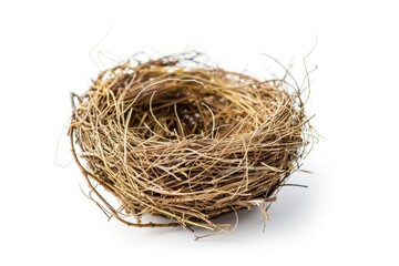 Obraz premium Lonely bird nest on white background