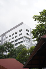 Tall white building behind trees and cloudy sky