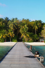 Dreamlike beach with palm trees in the Maldives. Baa Atoll, Asia