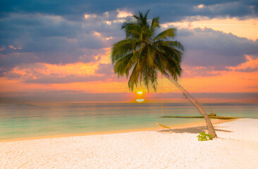 Dreamlike beach with palm trees in the Maldives. Baa Atoll, Asia